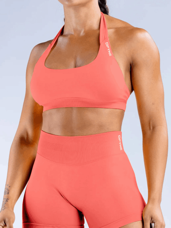 Dfyne Impact Sports Bra - Coral